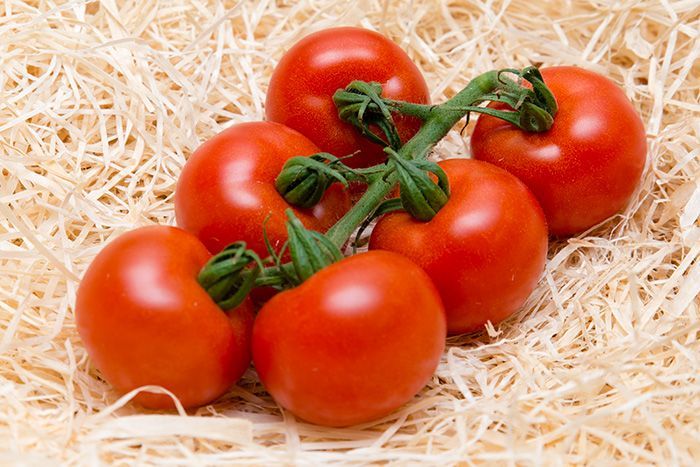 tomates grappe les saveurs de chailly