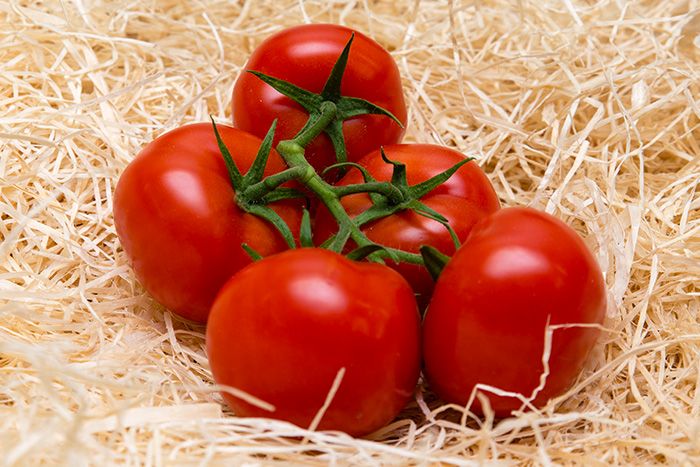 tomates grappe les saveurs de chailly